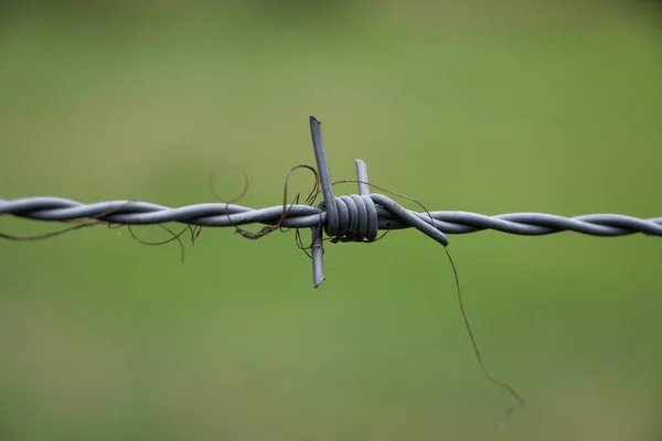 Close Barbed Wire Farmland Keep Animals Land — Stock Photo, Image