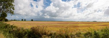 Groningen çiftçilerinin yaz mevsiminde Hollanda 'daki güzel dairesinin manzara fotoğrafı.