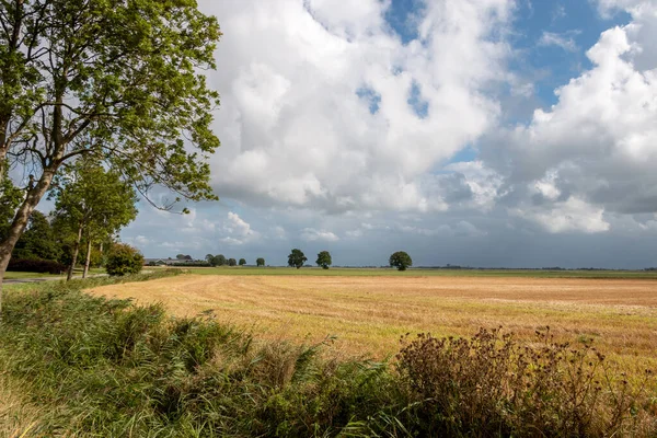 Landschapsfoto Van Prachtige Vlakke Groningse Boeren Land Zomer Nederland — Stockfoto