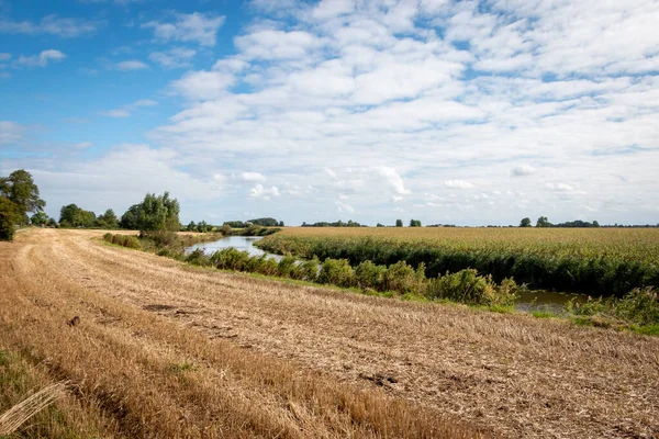 Paisaje Foto Hermosa Tierra Groningen Granjeros Plana Verano Los Países — Foto de Stock