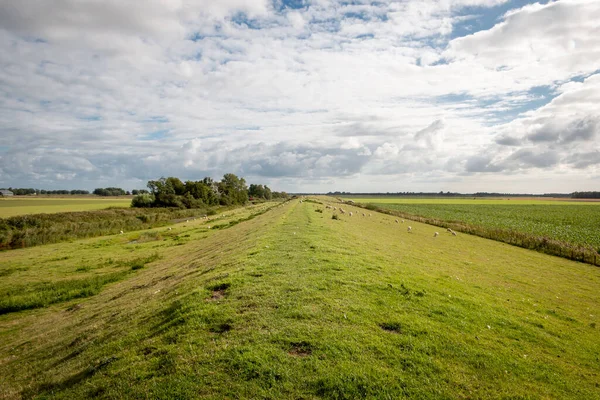 Molenpolder Ontstaan 18E Eeuw Met Naam Lauwerzeemolenpolder Provincie Groningen Het — Stockfoto