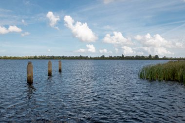 Hollanda 'nın kuzeyinde, Groningen ve Friesland eyaletlerinde yer alan milli park kahkahaları, bir kuş ve su cennetidir..