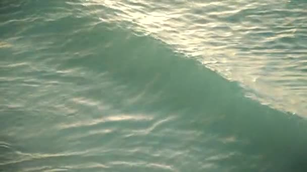 Ondas marinas rodando en la playa de arena al atardecer — Vídeos de Stock