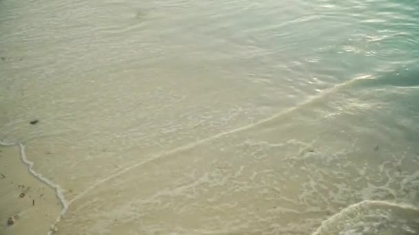 Морські хвилі котиться на піщаному пляжі ввечері — стокове відео
