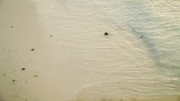 Onde marine rotolando sulla spiaggia di sabbia in serata — Video Stock