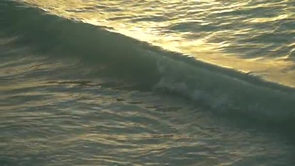 Zee golven rollen aan zandstrand bij zonsondergang — Stockvideo