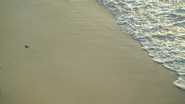 Tenger hullámai gördülő homokos tengerparton naplementekor — Stock videók