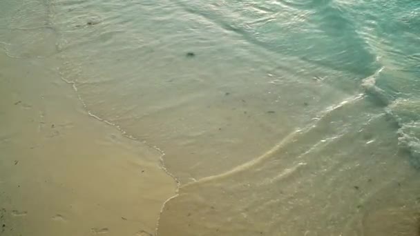 Mořské vlny válcování na písečné pláži při západu slunce — Stock video