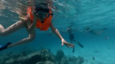 Turist grubu balık ve mercanlar arasında yüzmek