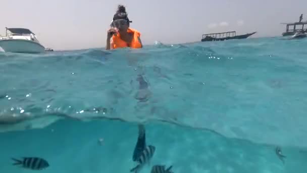 Взрослая девушка дрейфует в океане возле кораллового рифа — стоковое видео