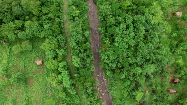 Vlucht boven rivier beek in tropisch regenwoud — Stockvideo