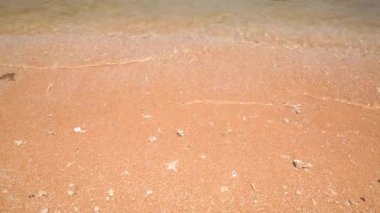 Berrak deniz suyu sarı kumlu kıyıyı yıkar 