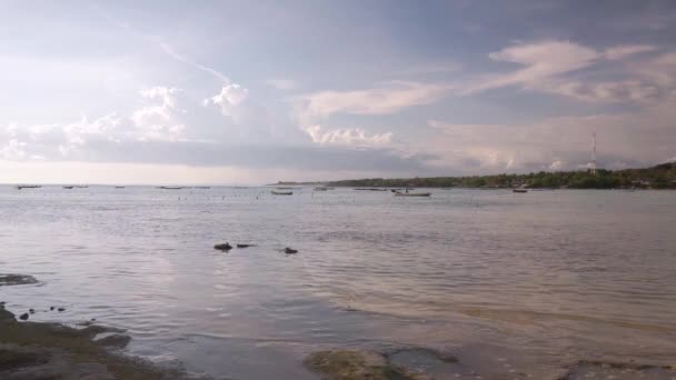 Grunda floden mellan Nusa Islands — Stockvideo