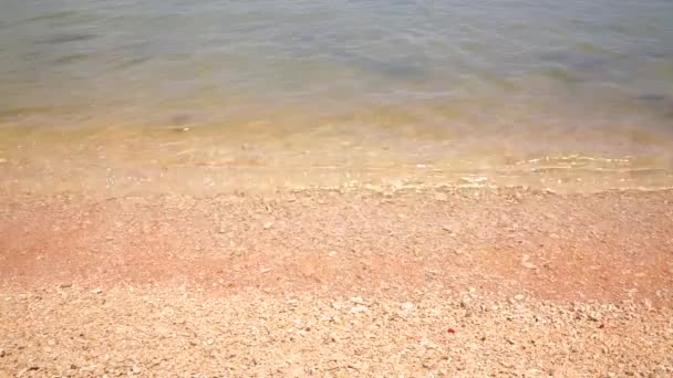 El agua de mar clara lava la orilla amarilla arenosa — Vídeo de stock