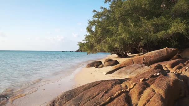 Escénica línea de playa pintoresca por la noche al atardecer — Vídeos de Stock