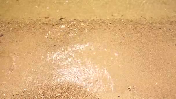 Transparent sea waves running to sandy shore. — Stock Video