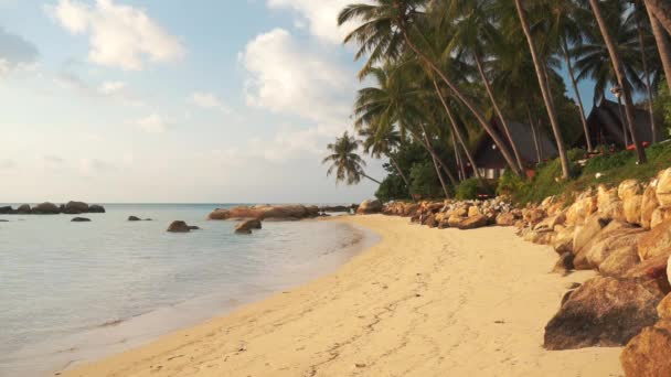 Passeggiate con i cani lungo la pittoresca spiaggia al tramonto — Video Stock