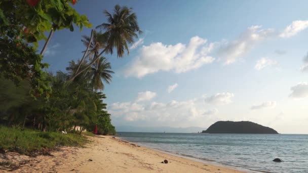 Escénica línea de playa pintoresca por la noche al atardecer — Vídeos de Stock