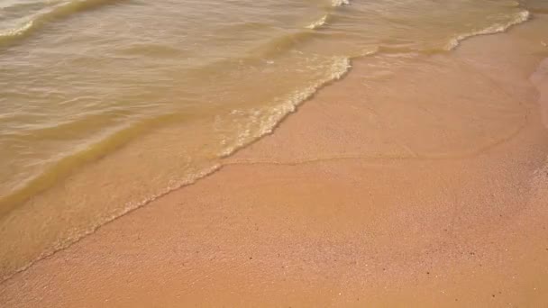 Transparentní mořské vlny tekoucí na písčité pobřeží. — Stock video