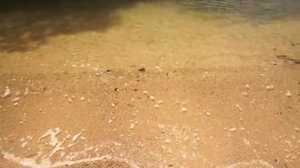 Transparentní mořské vlny tekoucí na písčité pobřeží. — Stock video