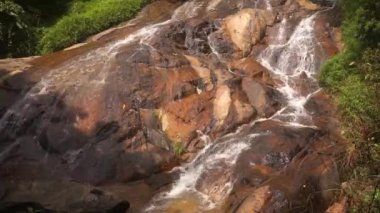 Pitoresk orman yağmur ormanlarında Çağlayan şelalesi