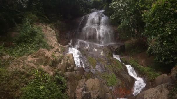 Cascade waterfall in picturesque jungle rainforest — Stock Video