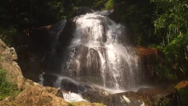 Cascade waterfall in picturesque jungle rainforest — Stock Video