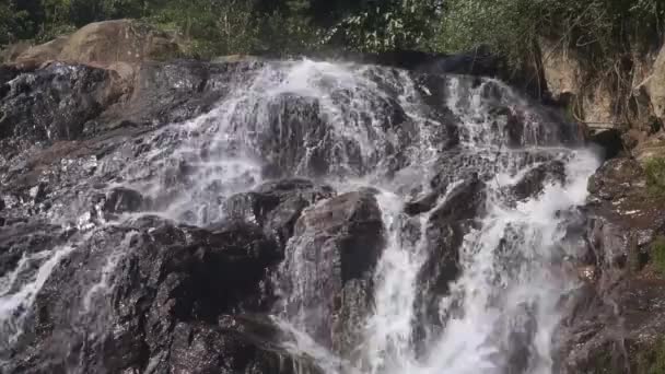 Каскадный водопад в живописных джунглях тропических лесов — стоковое видео