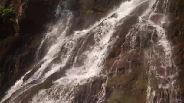 Cascada de cascada en pintoresca selva tropical — Vídeo de stock