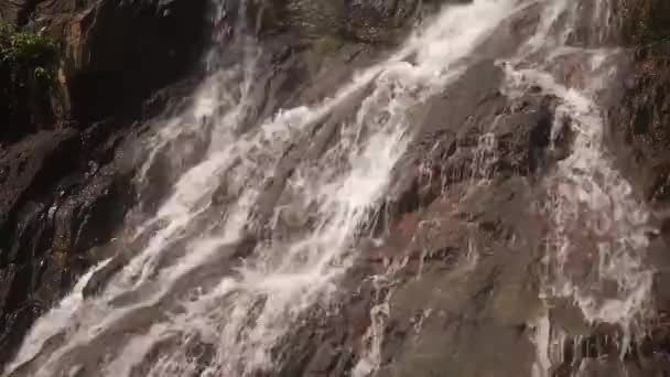 Каскадный водопад в живописных джунглях тропических лесов — стоковое видео