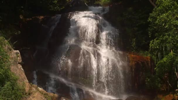 Cascata em cascata na pitoresca floresta tropical da selva — Vídeo de Stock
