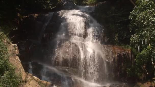 Cascata cascata nella pittoresca foresta pluviale della giungla — Video Stock