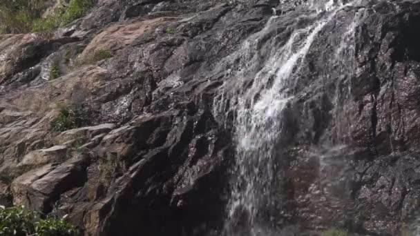 Kaskad vattenfall i pittoreska djungel regnskog — Stockvideo