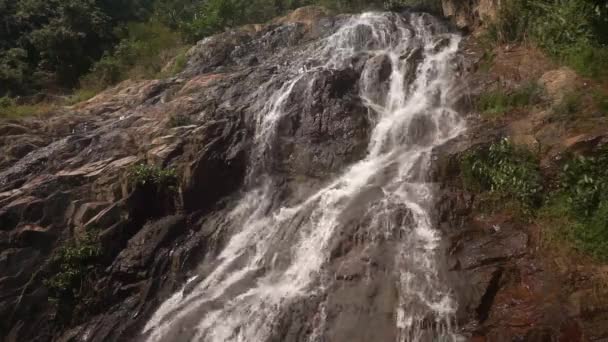 Cascade waterfall in picturesque jungle rainforest — Stock Video