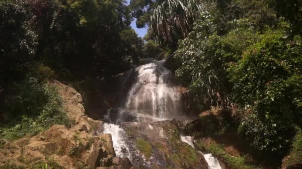 Kaskadowy wodospad w malowniczym dżungli lasu deszczowego — Wideo stockowe