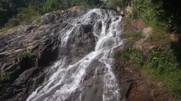 Cascade waterfall in picturesque jungle rainforest — Stock Video