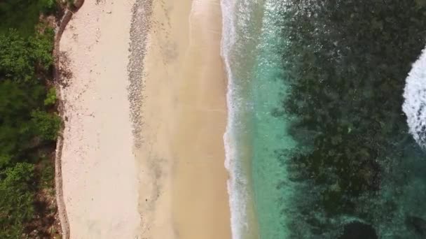 Onde oceaniche lavano la riva della spiaggia deserta — Video Stock