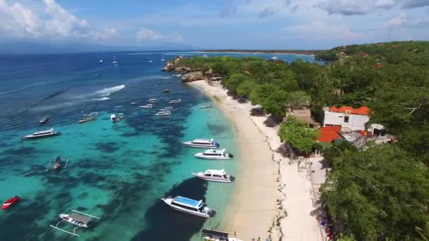 Voler haut au-dessus de la belle plage de champignons — Video