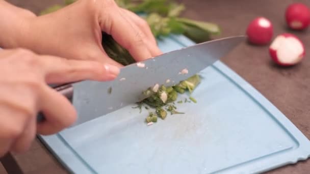 Jovem dona de casa corta verduras — Vídeo de Stock