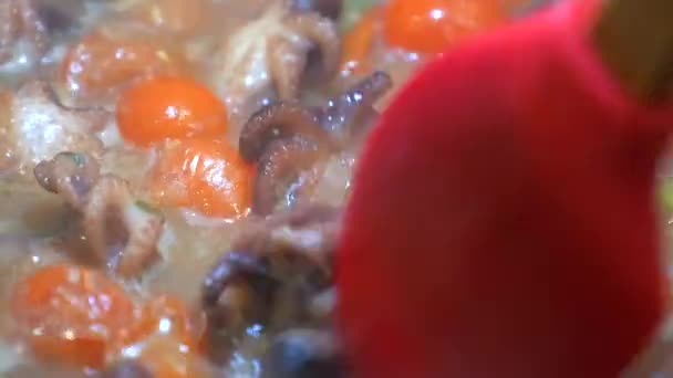 Stir fried baby octopus vegetables boil close up — Stock Video