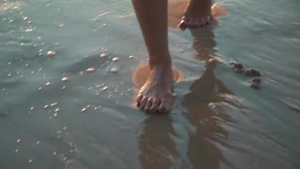 Kvinna som går på stranden vid solnedgången ben närbild — Stockvideo
