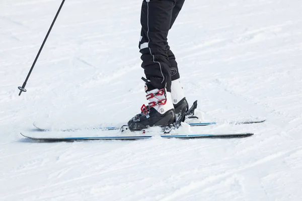 Горнолыжник Свежем Снегу Лыжах Солнечный Зимний День — стоковое фото