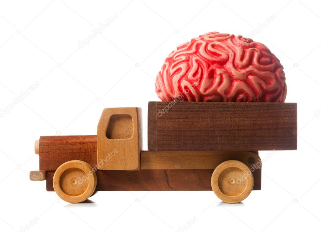 Wooden truck carries a rubber brain, metaphor for brain drain.