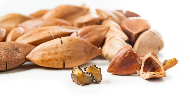 Canarium Ovatum Známé Jako Pili Ořechů Filipín — Stock fotografie