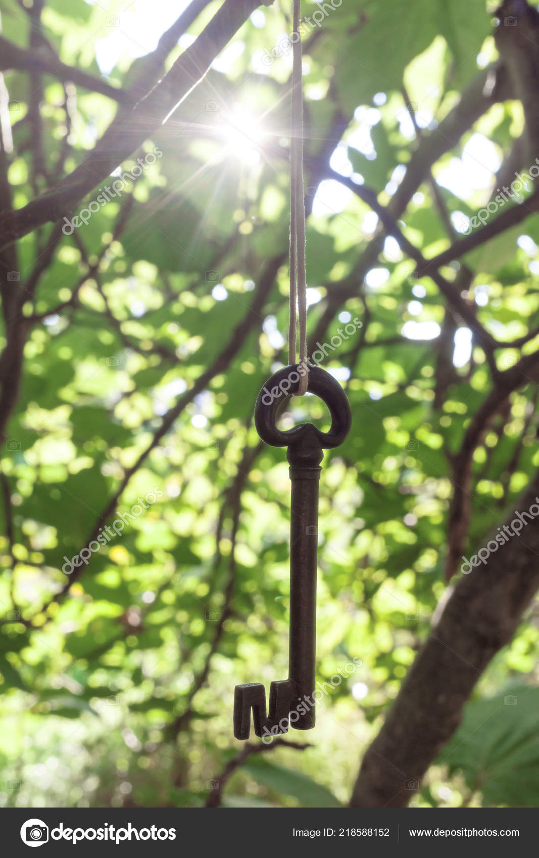 Ancient Wrought Iron Key Hanging Branches Mysterious Metaphorical