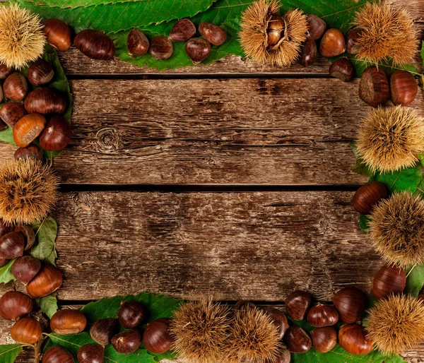 Frame Van Kastanjes Bladeren Kastanje Bur Houten Tafel — Stockfoto