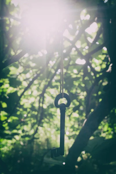 枝間にぶら下がって古代錬鉄のキー 神秘的で比喩的な概念 — ストック写真