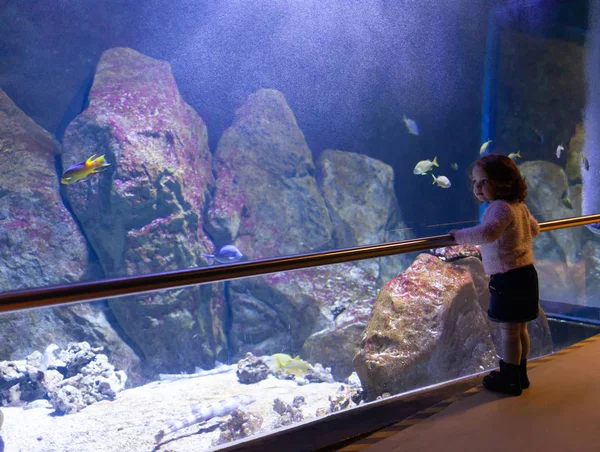 Mała Dziewczynka Oglądania Ryb Dużym Akwarium Livorno Włochy — Zdjęcie stockowe