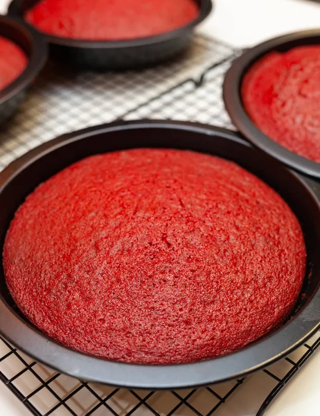 Biszkopt Red Velvet Ciasto Przygotowania — Zdjęcie stockowe