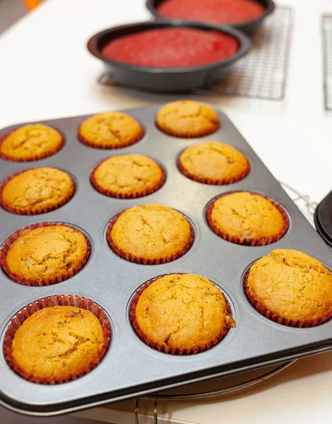 Sweet Hembakade Pepparkakor Muffins Eller Cupcake Redo Att Äta — Stockfoto